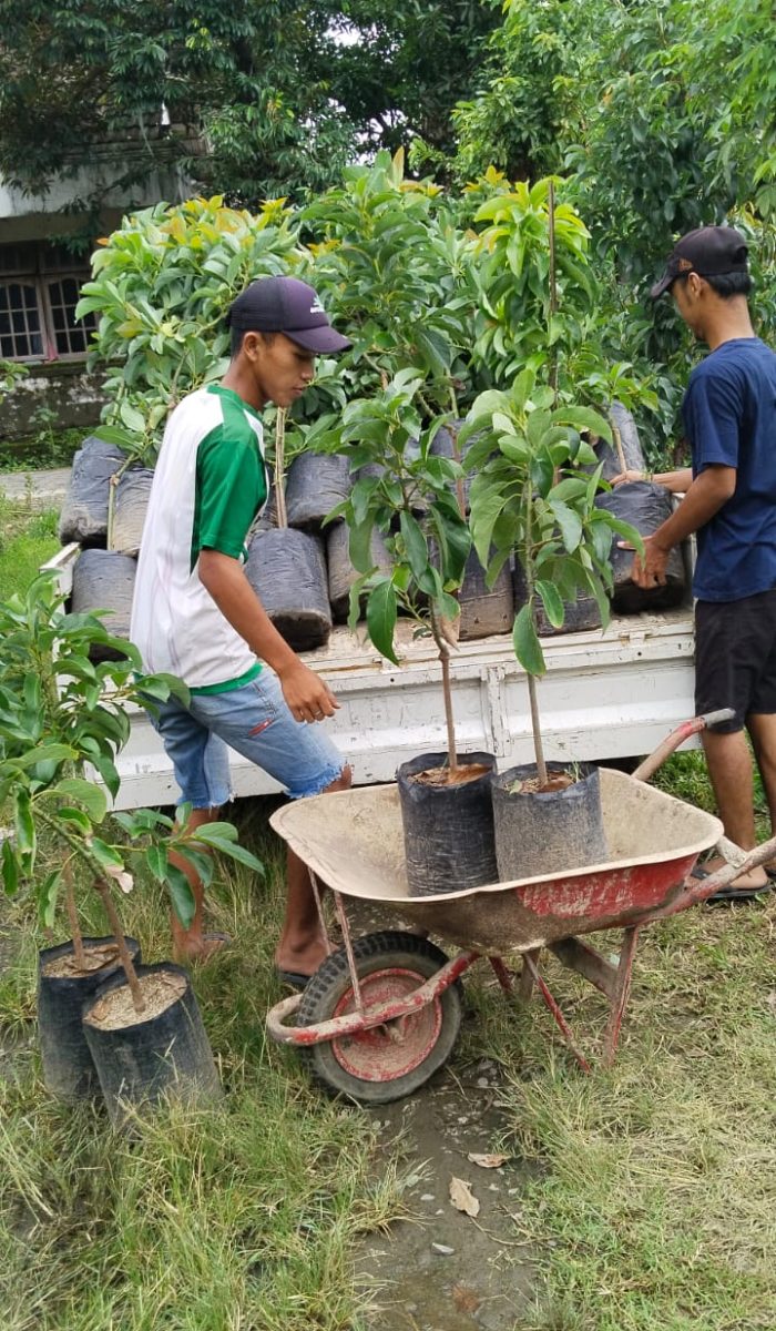 WhatsApp Image 2024-03-20 at 19.10.30